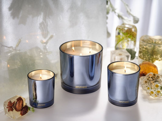 Cardamom Chestnut Classic Candle