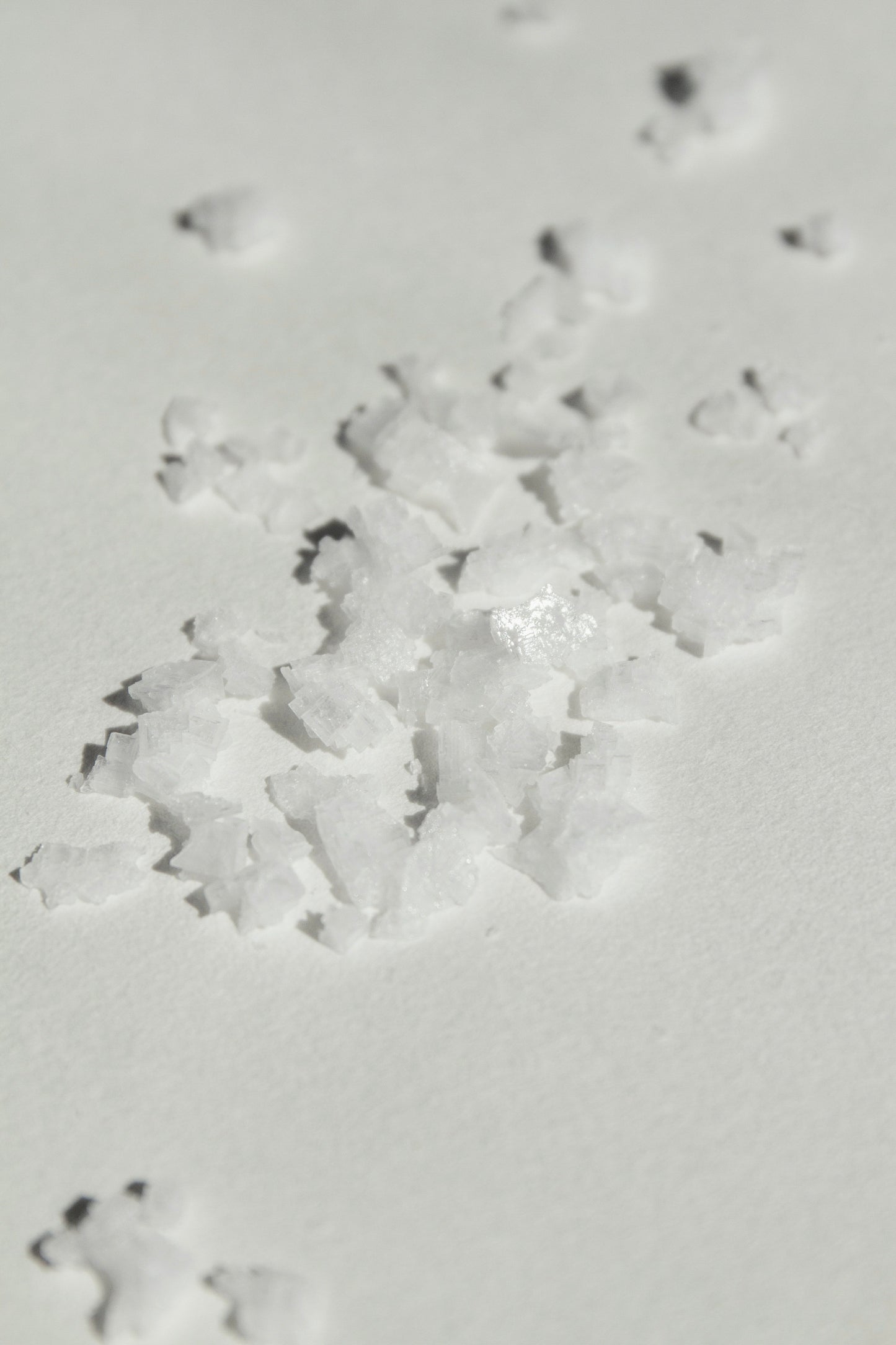 Sea Change – Seaweed Sphere Soap | Bladderwrack & Neroli