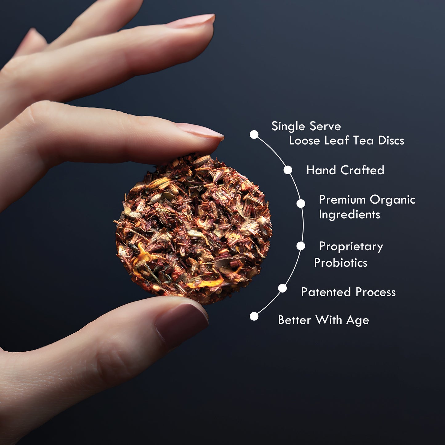 Citrus Punch No. 53 – Citrus Probiotic Oolong Tea Discs