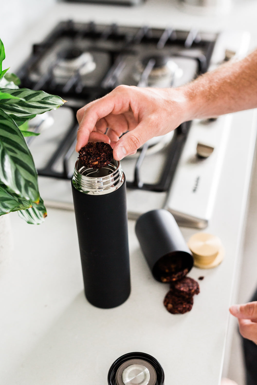 Strawberry Seduction No. 16 | Loose Leaf Black Tea