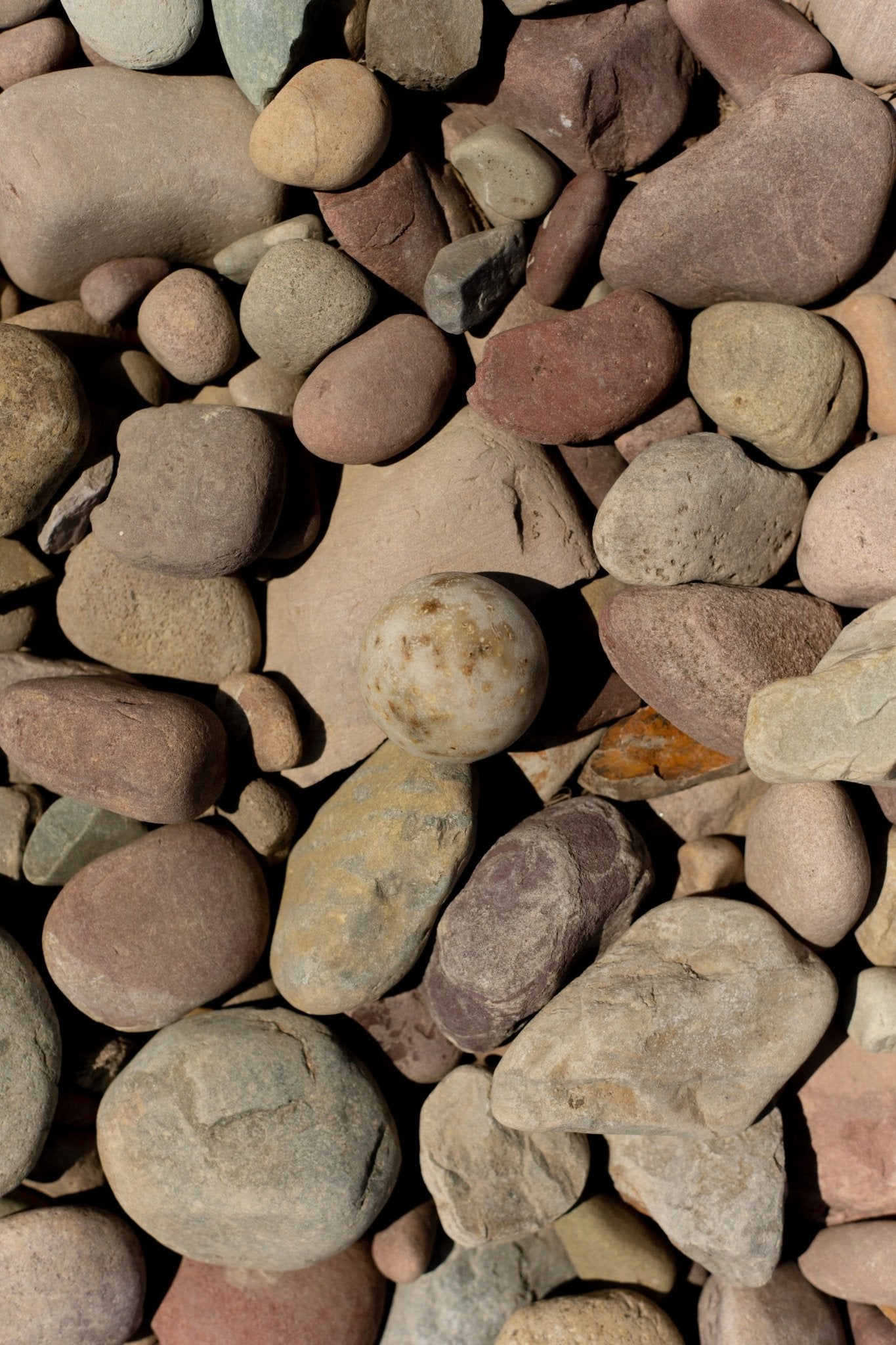 Sea Change – Seaweed Sphere Soap | Bladderwrack & Neroli