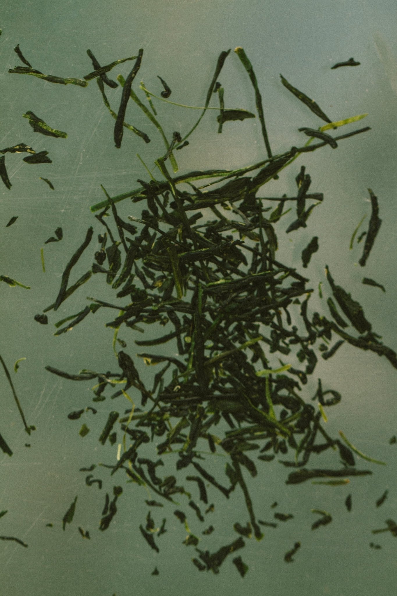 Yuzu & Sencha Soap – Invigorating Toning Bar with E3Live®